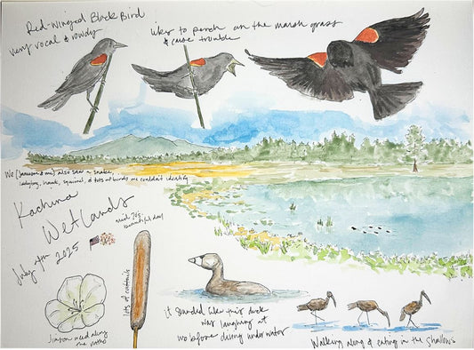 A Walk in the Wetlands