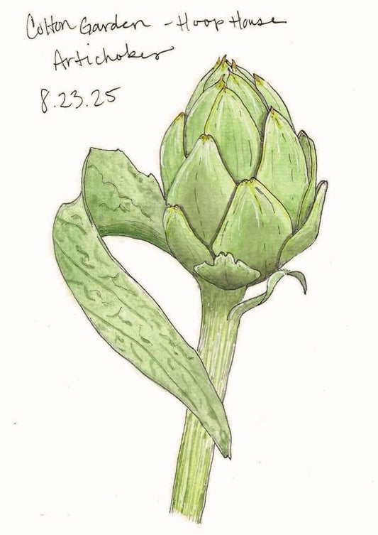 Garden Favorite