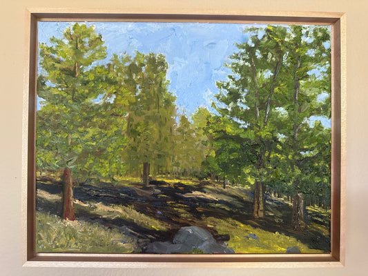 Backyard Morning 11" x 14"