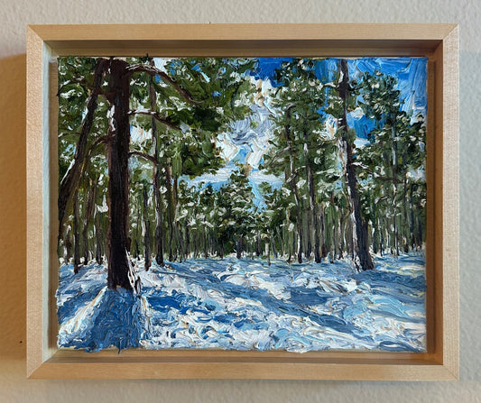 Springtime Snow 8" x 10"