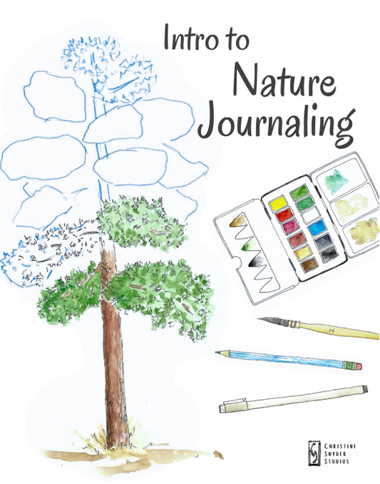 Intro to Nature Journaling - Ethnobotany Hike