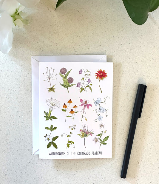 Wildflowers of the Colorado Plateau