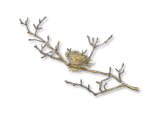 Spotting Nests