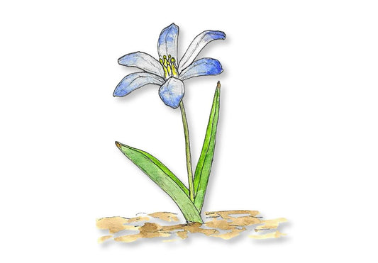 A Bouquet for You