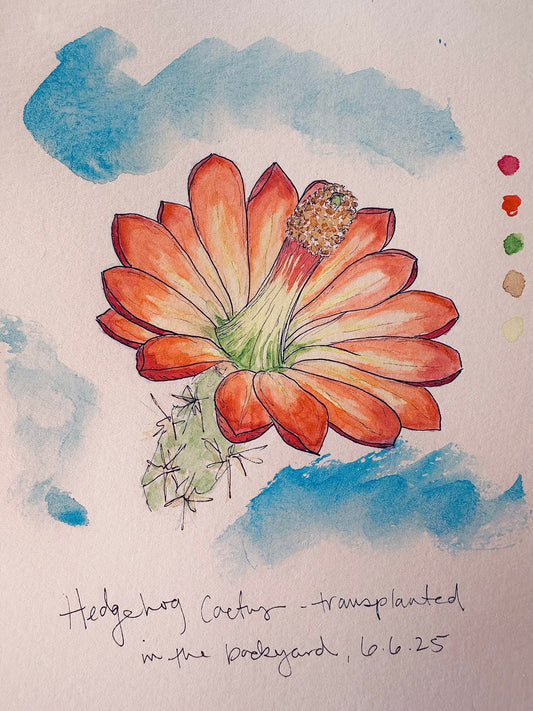 A Little Love and Attention