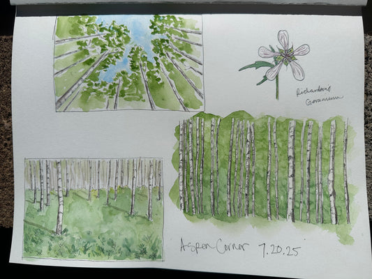 For the Love of Aspens