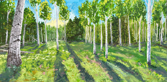 First Light at Aspen Corner