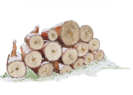 Arenas of Consequence