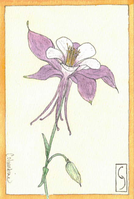 Wildflower Notecard