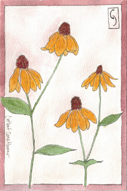 Wildflower Notecard