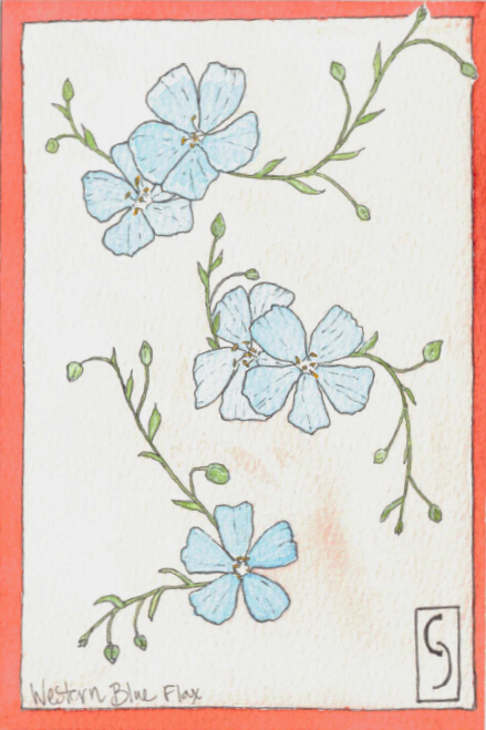 Wildflower Notecard