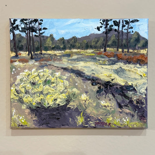 Rabbitbrush Glow 8" x 10"