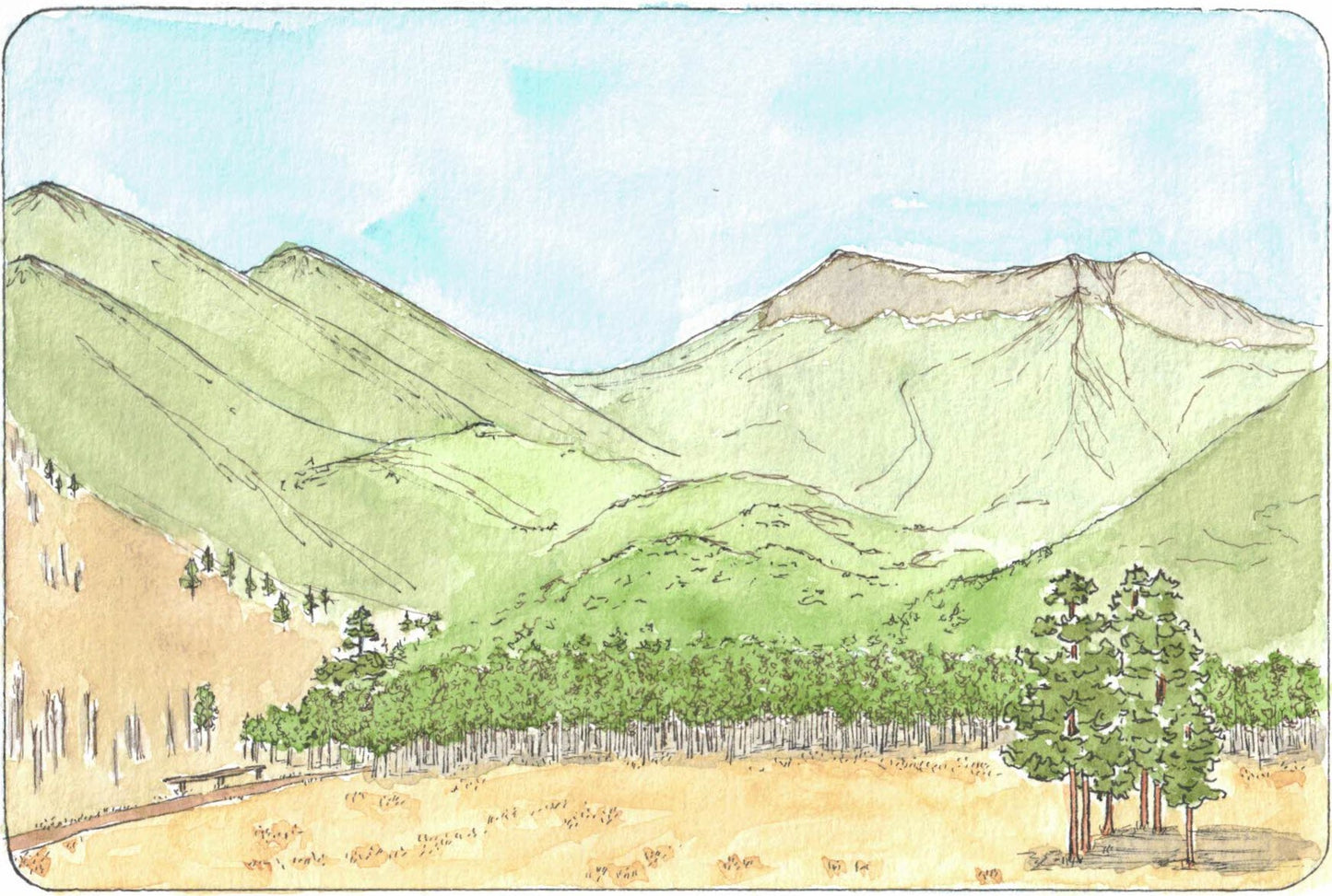 "Around the Peaks" Postcard Series - Lockett Meadow