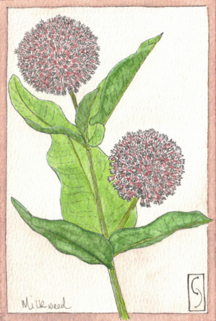 Wildflower Notecard