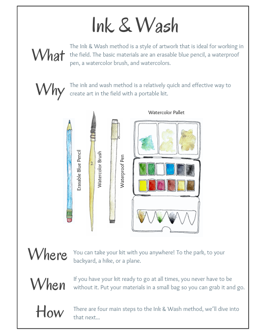 Intro to Nature Journaling - Ethnobotany Hike