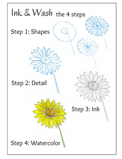 Intro to Nature Journaling - Ethnobotany Hike