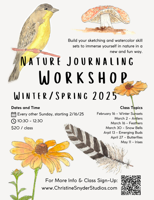 Nature Journaling Workshop